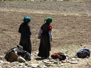 Tibetan women working in the field