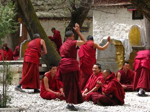 Monks at Sera Monastery