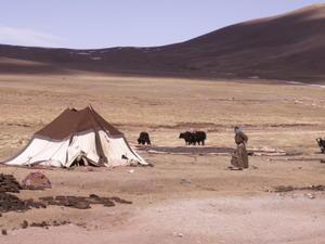 Nomad Camp surroundings