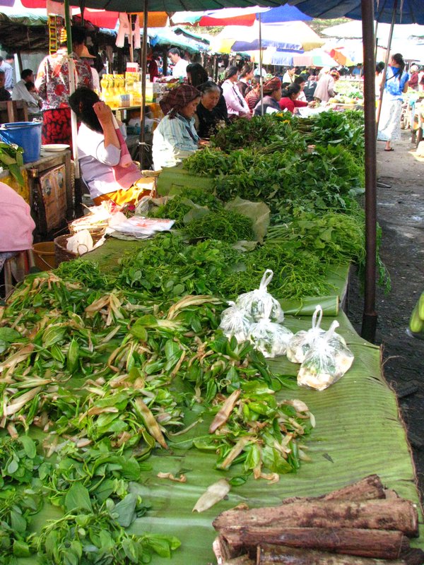 Kengtung  Market, tons of greens