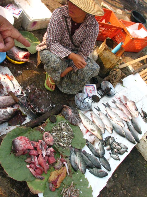 Kengtung  Market fish.