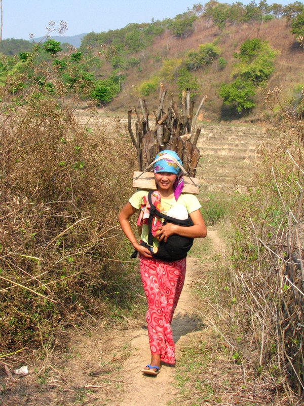Young Mother with Baby  carries wood 1
