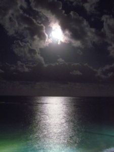 spectacular: Moon + Ocean
