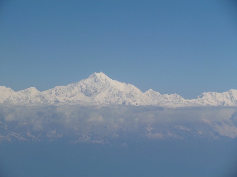 Majestic Himalayan