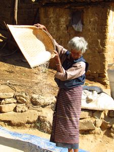 Elder working, preparing rice