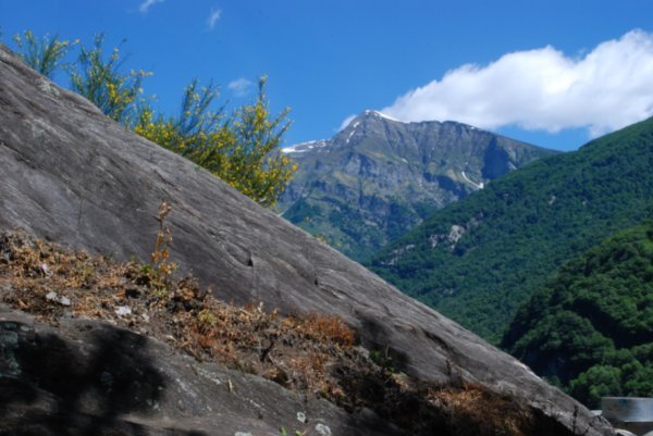 View from the Dam