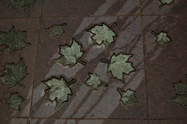 Canadian Leaves