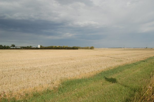 Lots of fields..