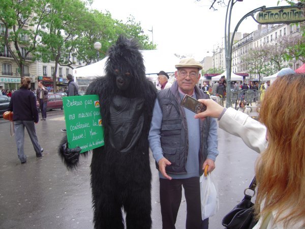 The gorilla was very popular