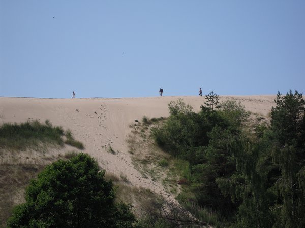 The dunes of Nida