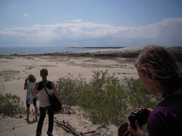 The dunes of Nida