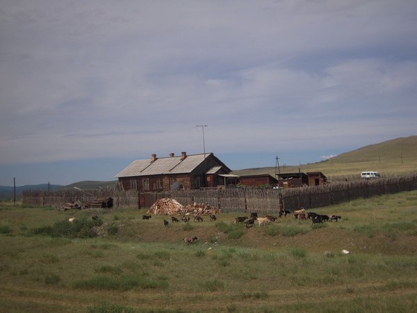 A view from the train journey from Irkutsk to Ulaanbaatar
