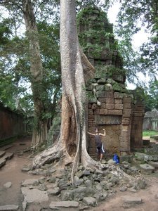 The temples of Angkor