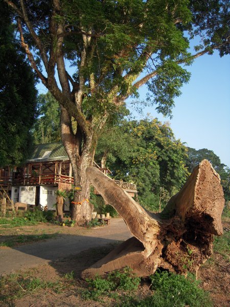 The banks of the Mekong in Chiang Khong