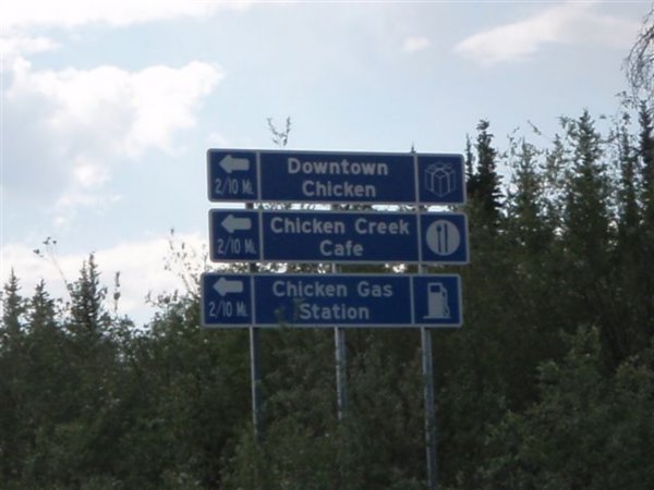 Chicken's numerous attractions