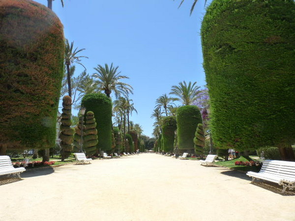 garden in Cadiz