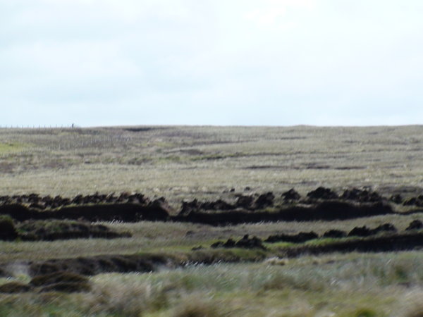 Drying the Peat