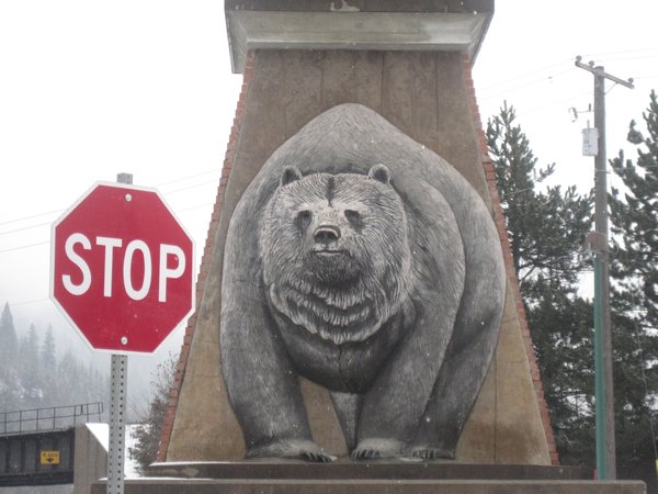 Stop! Bears