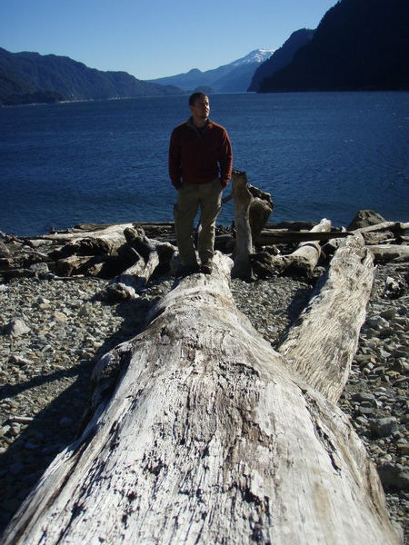 Dylan and more drift wood