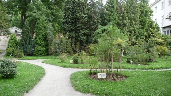 Botanical garden 2