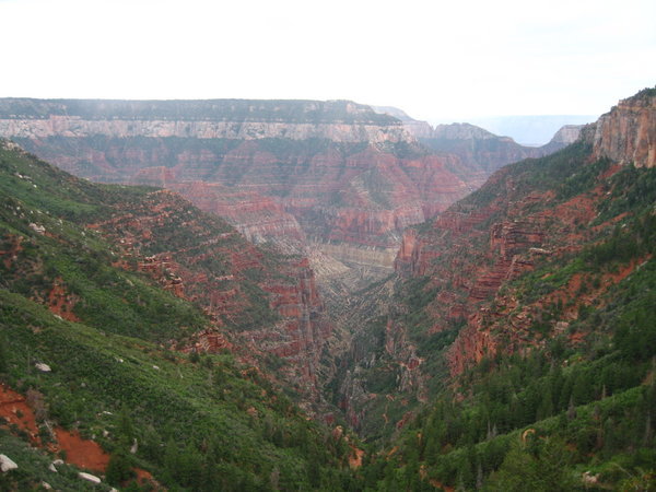 Grand Canyon from N. Kailbab