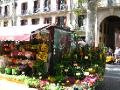 Ramblas flower shop