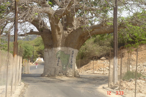 Tree of African Unity