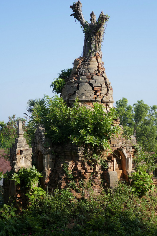 Angkor Wat-style zedi