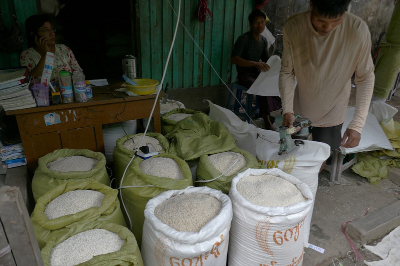 packing rice