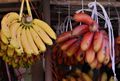 colourful bananas, Myine Yadanar Zei