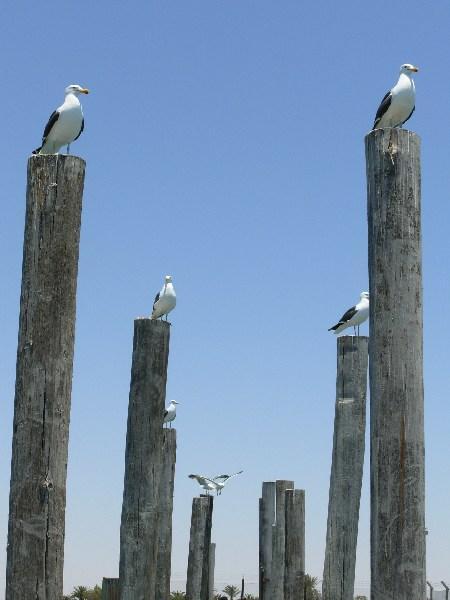 avarian decorations on the Walvis Bay pier