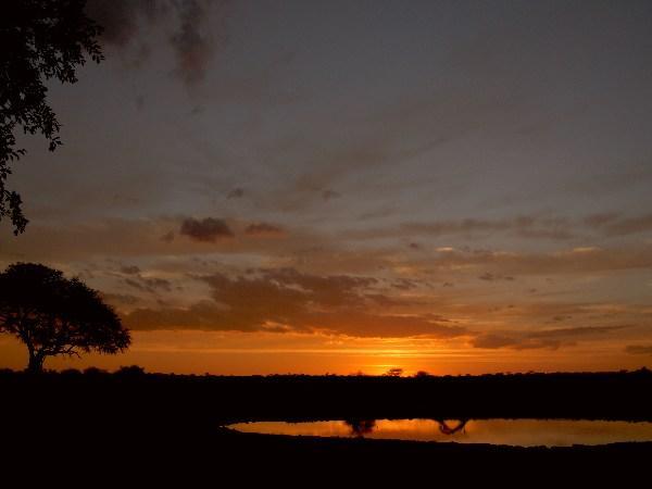 yet more of that Okaukuejo sunset