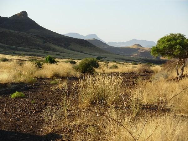 view from our tent at Damaraland Camp