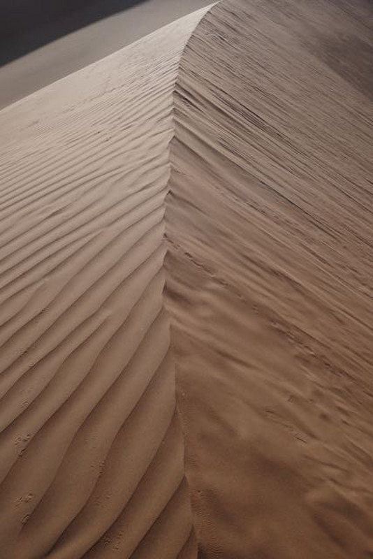 dune ridge