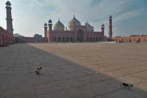 Badshahi Mosque - and feline residents