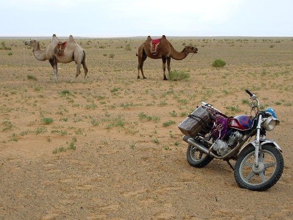 other forms of transport in the Gobi