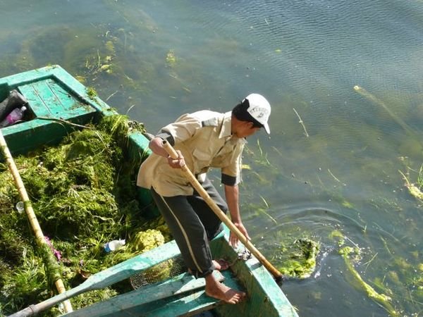 the Sisyphean task of removing weed from Lake Pichola