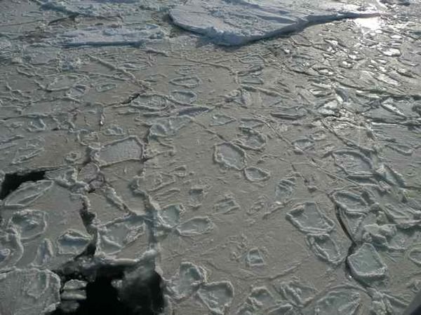 new-forming pancake ice in Terra Nova Bay