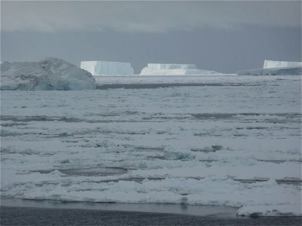 icebergs and pack ice