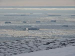 icebergs in the bay at Cape Adare