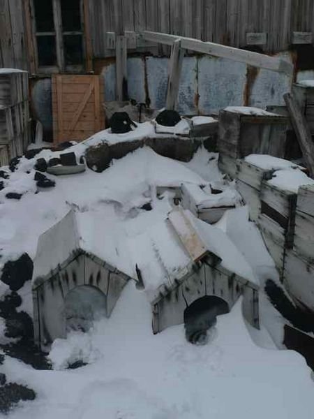 outside Shackleton's hut