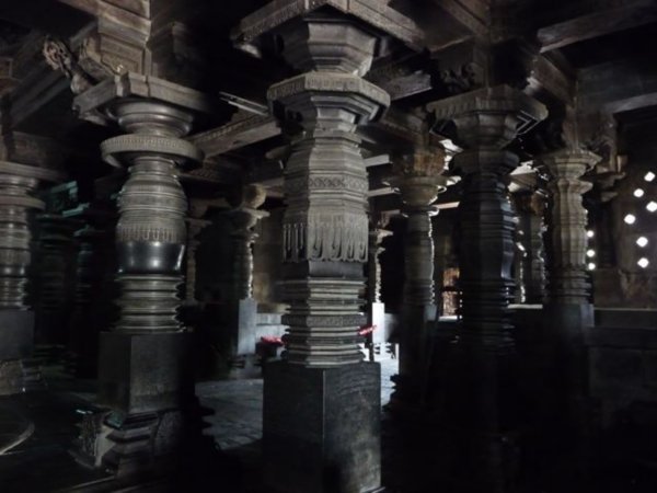 a forest of pillars