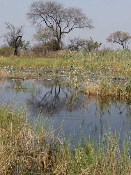 the Kwando River in Mudumu National Park