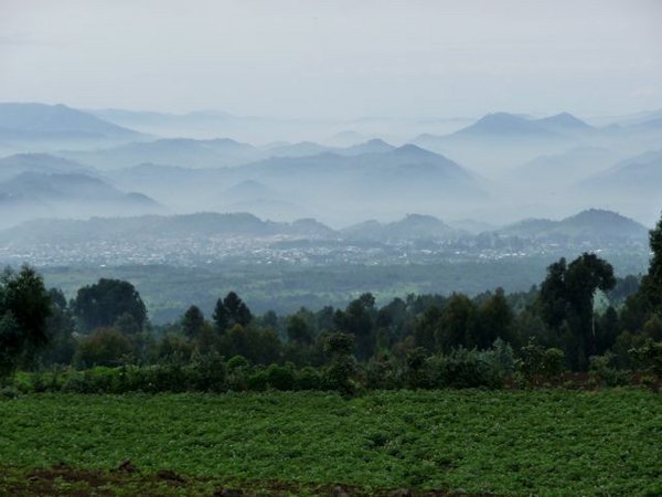 Musanze and its surroundings from the entrance to the Parc National des Volcans