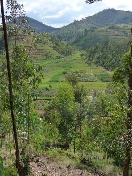 countryside near Murambi