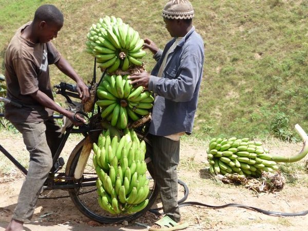 loading a Banana Bike