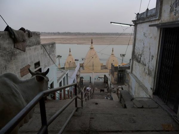 my first sight of Ganga Ma