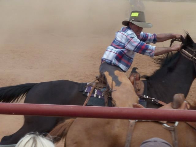 chasing down a rodeo horse