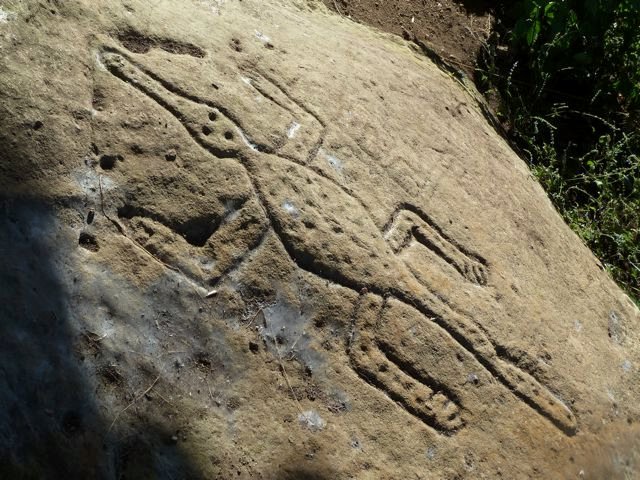 caiman petroglyph