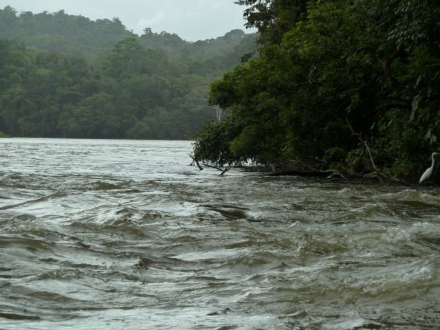 Río San Juan rapids